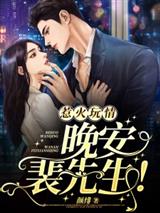 惹火玩情：晚安，裴先生！